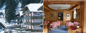 Alpen Hotel Vidi