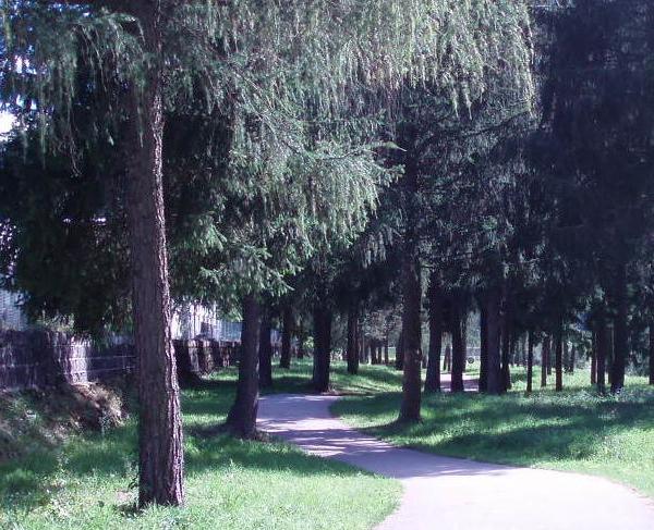 Pista ciclabile nei pressi di Pinzolo